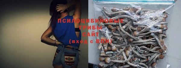 Альфа ПВП Ельня