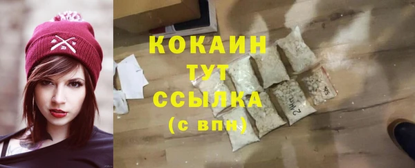 Альфа ПВП Ельня