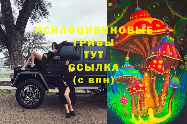 Альфа ПВП Ельня