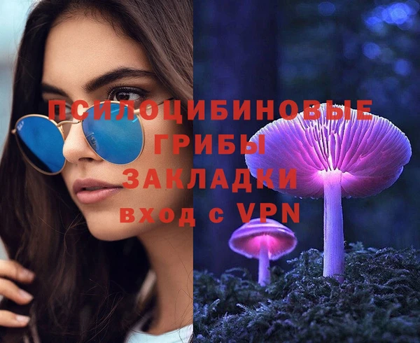 гидропоника Елизово