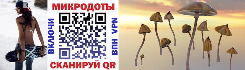 Купить  Камень-на-Оби  Галлюциногенные грибы Cubensis 