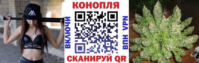 Конопля план  Купить закладки  Камень-на-Оби 